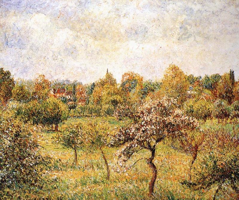 Camille Pissarro The apple trees on the lawn